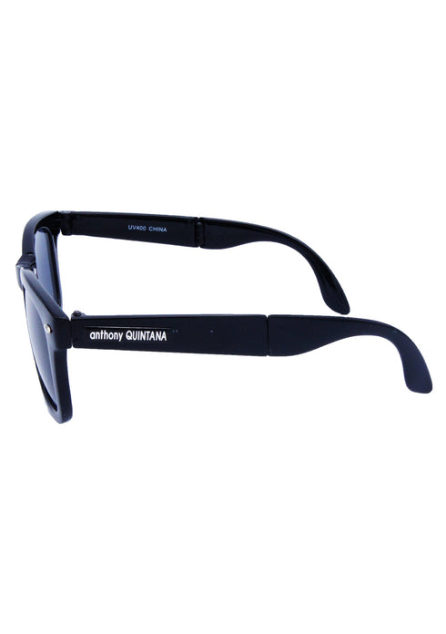 AQ WayFarer Sunglasses